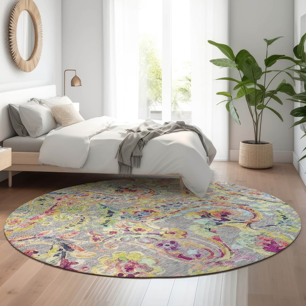 Premium Washable Super Soft Paisley Mayfield Rug