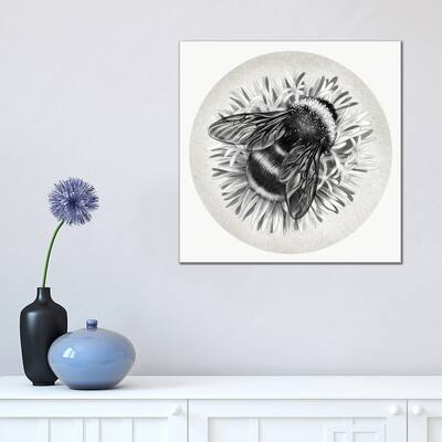iCanvas "Bee On Cornflower In Pencil" by Vicki Hunt Canvas Print