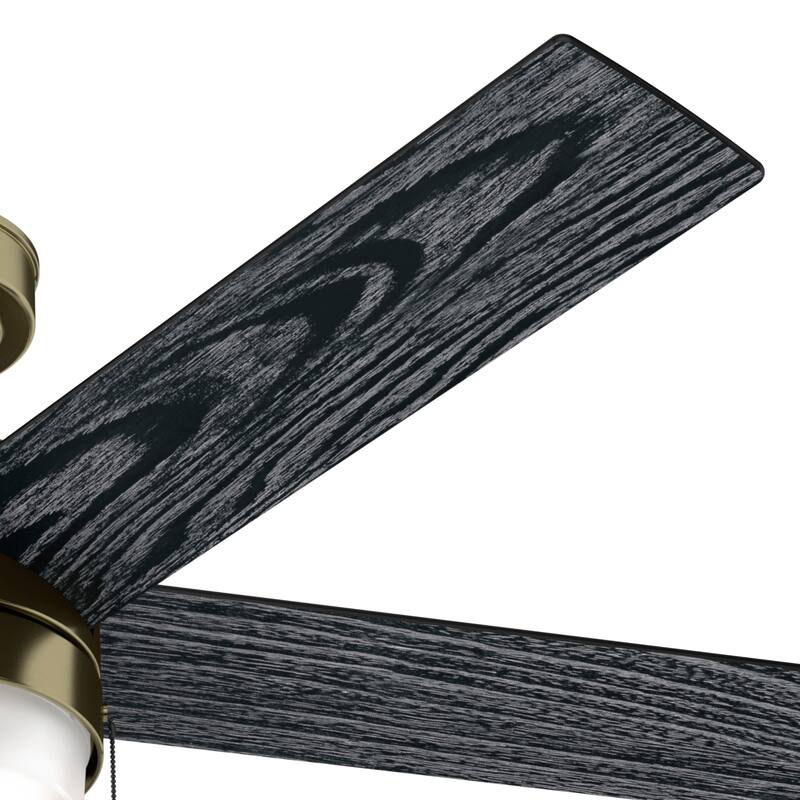 Hunter 52" Claudette Ceiling Fan with LED Light Kit and Pull Chain