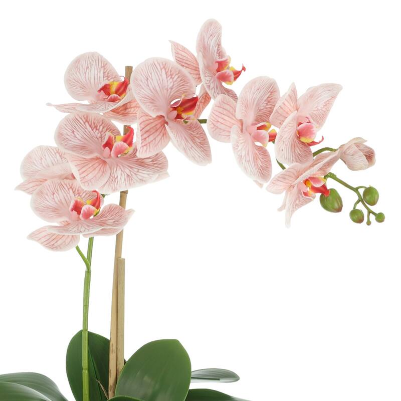 Orchid Arrangement in Fiberstone Planter - 23