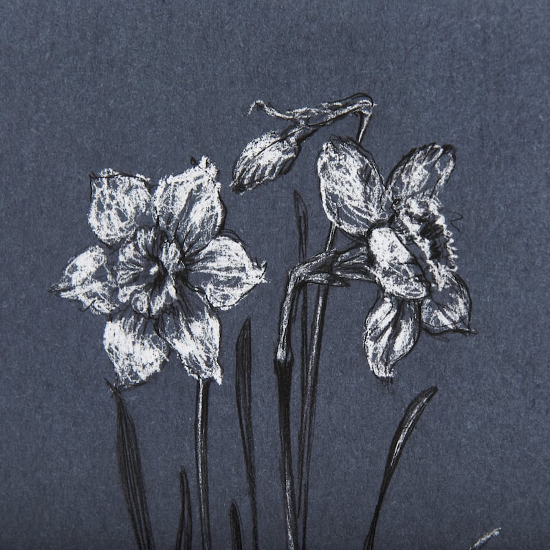 Botanical Sketches II (Blue) Framed Art Print