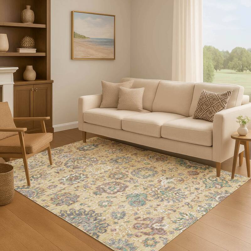 Premium Washable Super Soft Traditional Global Mayfield Rug