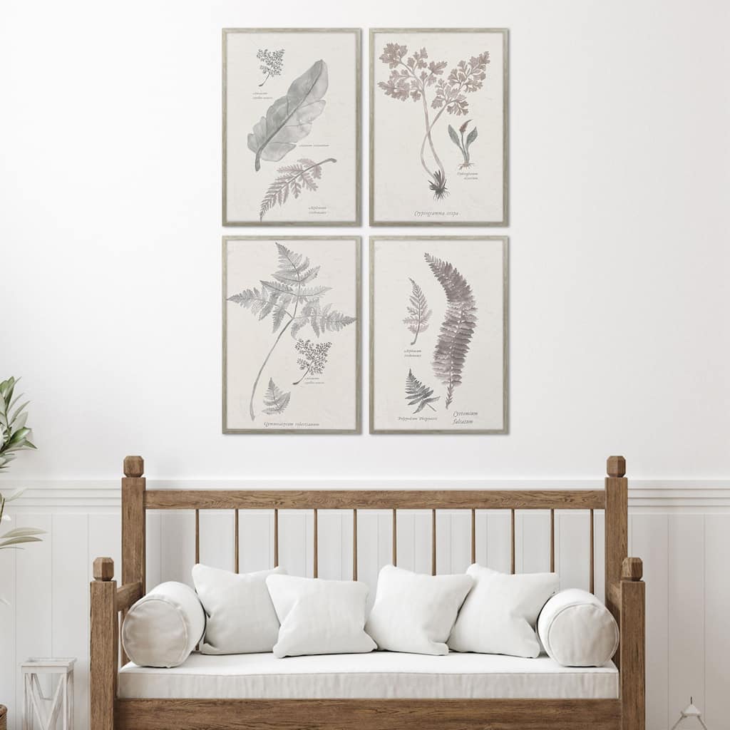 Paragon Fern Study Framed Art - Set of 4