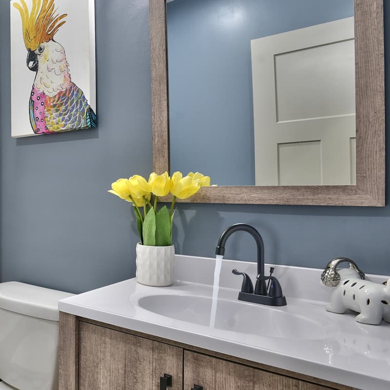 WOWOW 4 Inch Centerset Bathroom Faucet