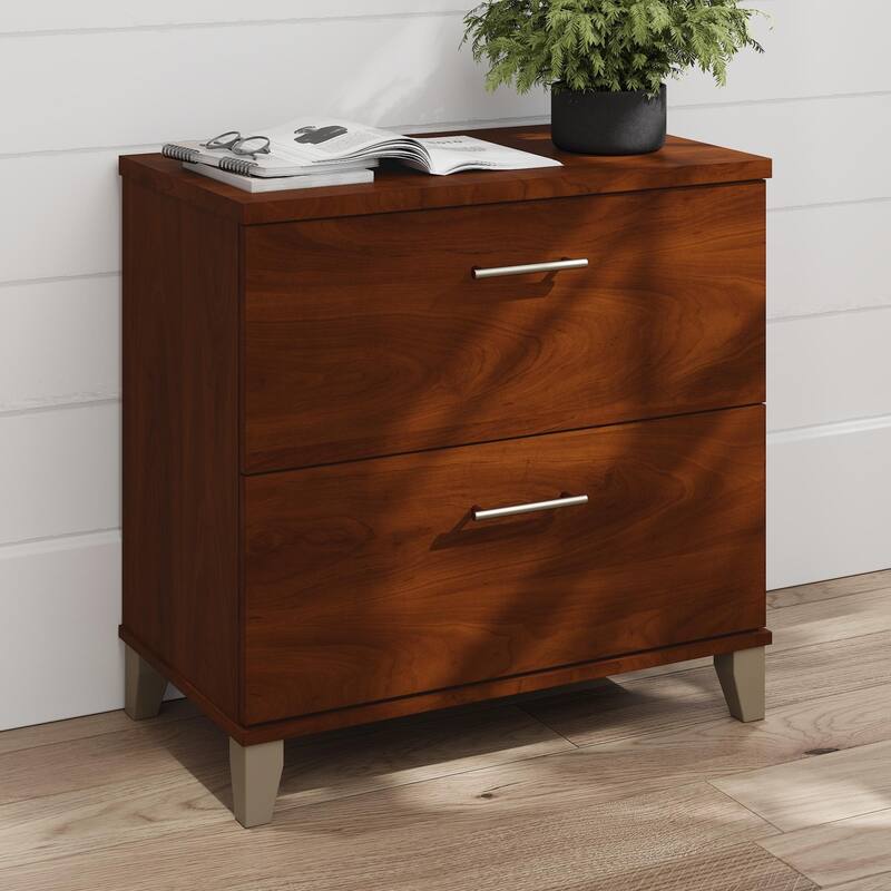 Bush Furniture Somerset 2 Drawer Lateral File Cabinet with Storage