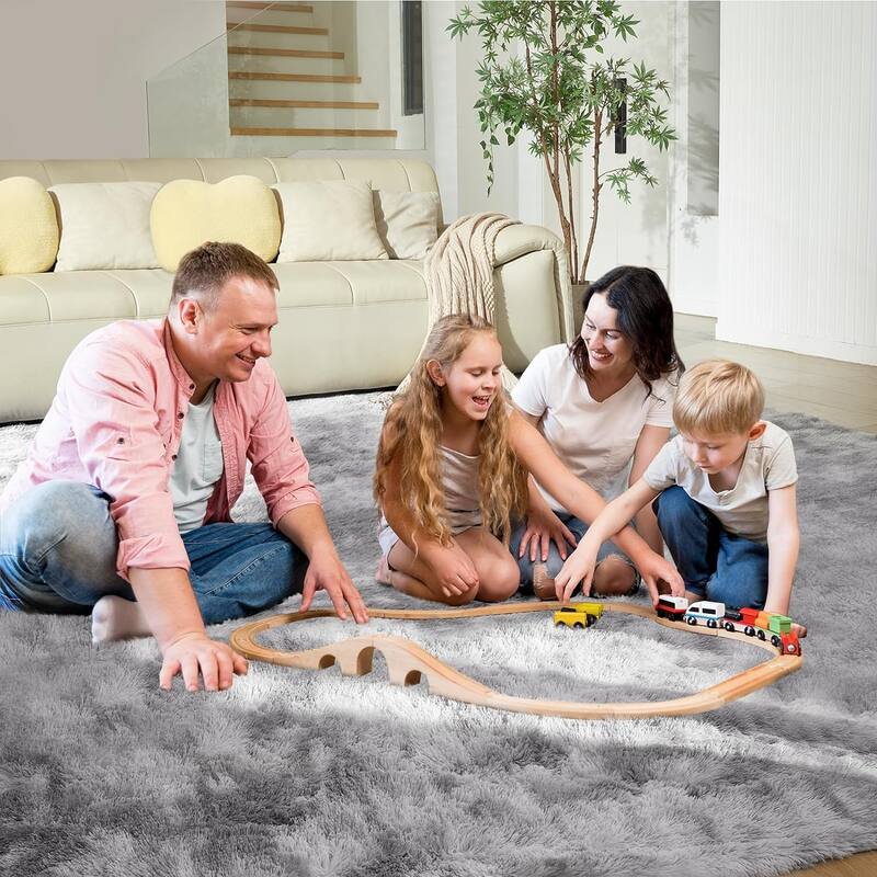 4X6 Fluffy Shag Area Rugs, Super Soft Rugs for Living Room