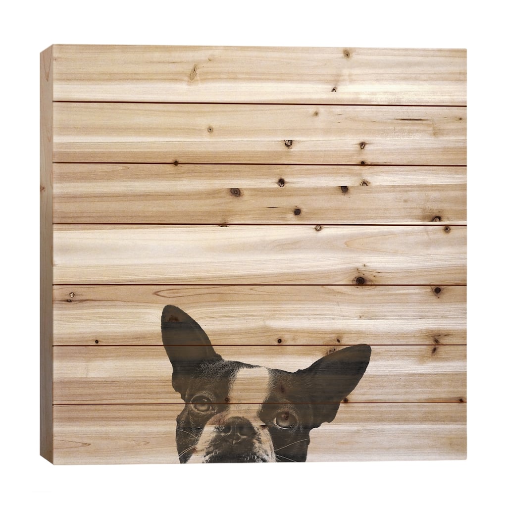 Loyalty Print On Wood by Jon Bertelli - Multi-Color