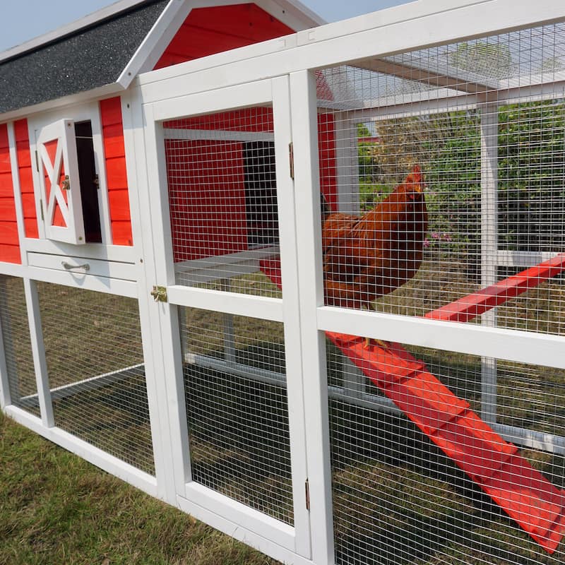 Big Farm Chicken Coop