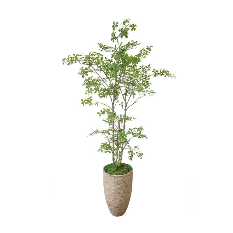 Bonsai Tree In Strawgrass Planter - 90