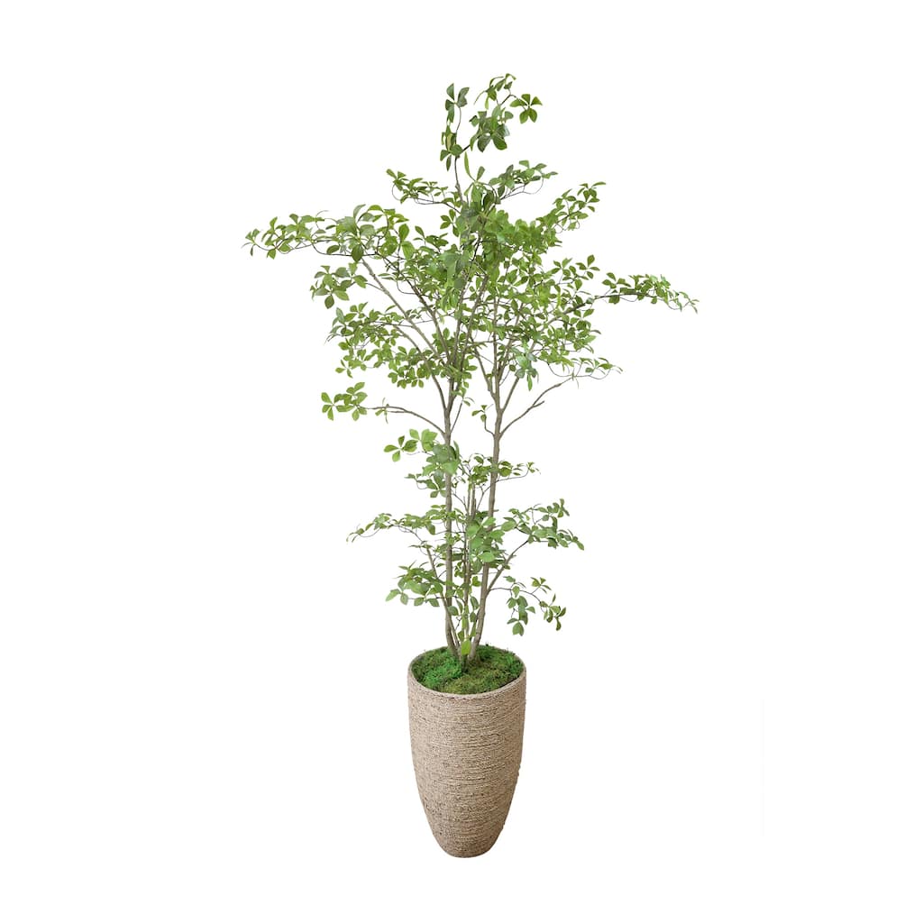 Bonsai Tree In Strawgrass Planter - 90