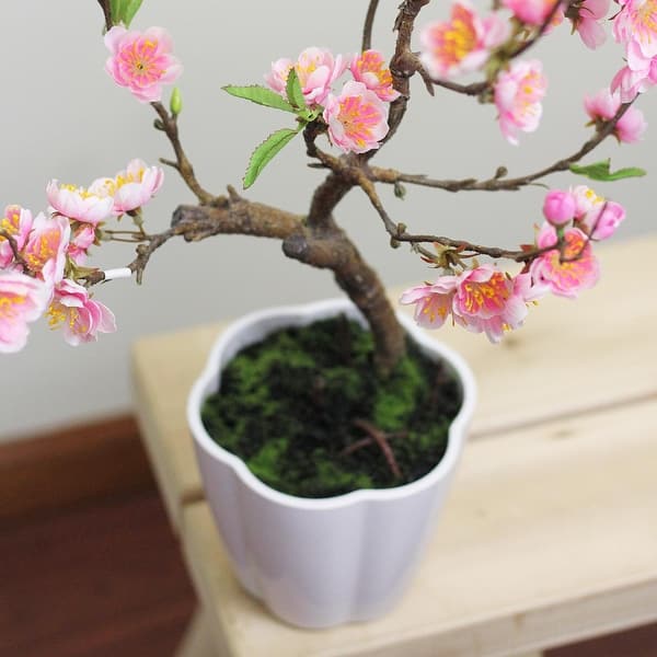 Shop 28 Pink Artificial Ming Cherry Blossom Tree In A Pot Table