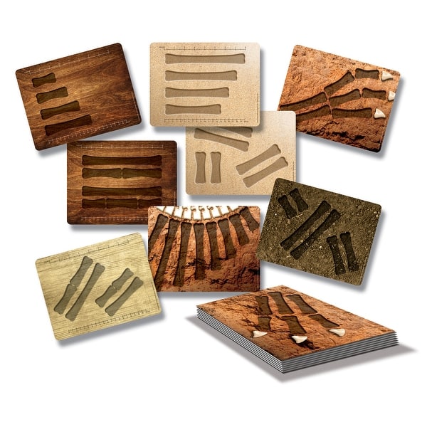 slide 2 of 5, Yellow Door Dinosaur Bones Match and Measure Activity Cards - Multi Multi - Kids