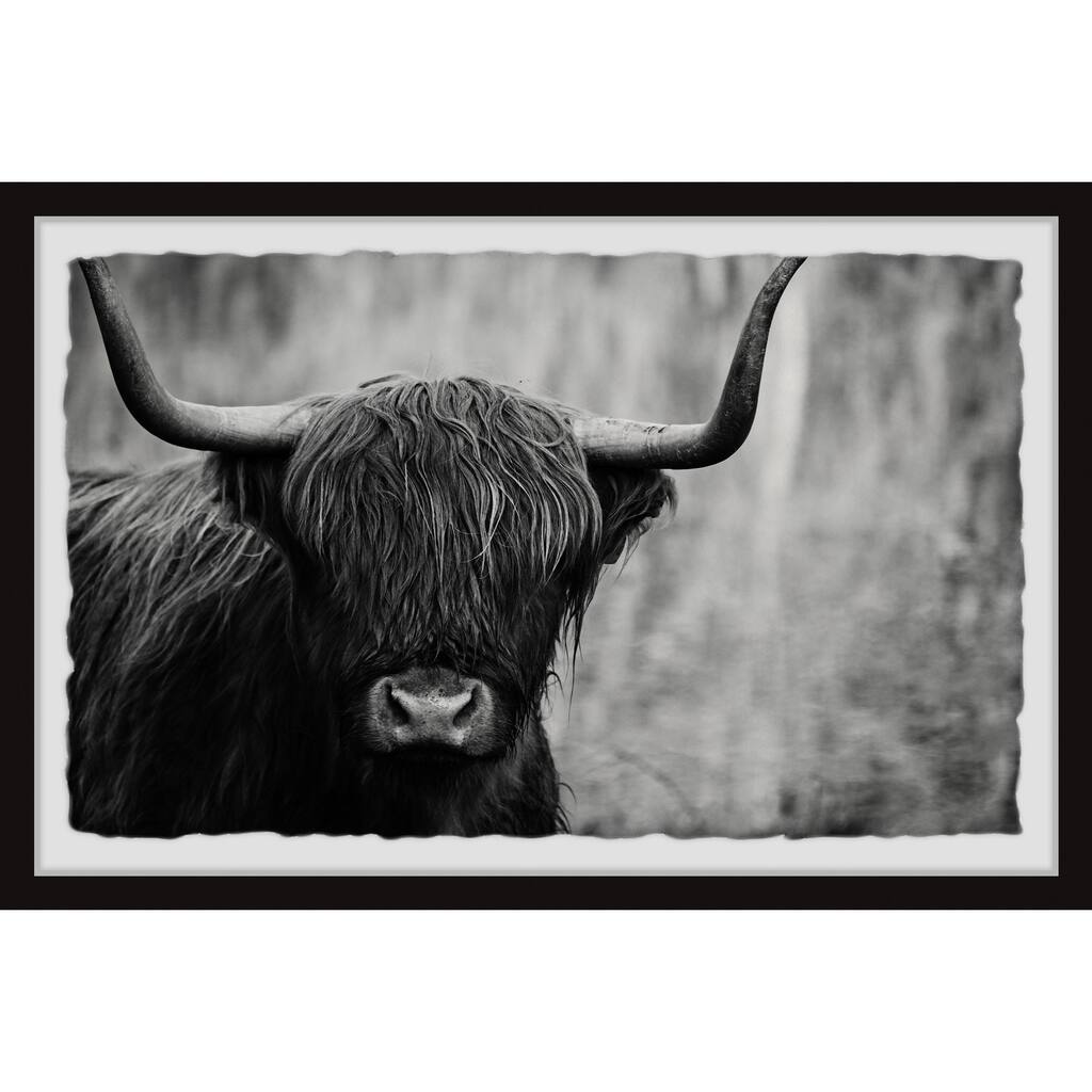 Angus the Highland Cow Framed Wall Art, Elegant Home Touch - Sophisticated Artwork for Refined Décor