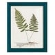 preview thumbnail 117 of 138, Nature Printed Ferns IX -Framed Print w/glass-Cherry Red 9x11 - Blue