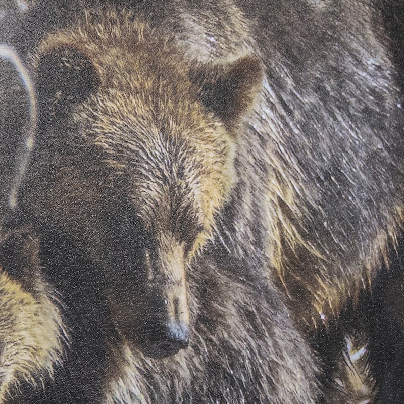 Mom And Cub Framed Art Print