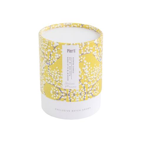 Pier 1 Boxed Soy Candle 8oz