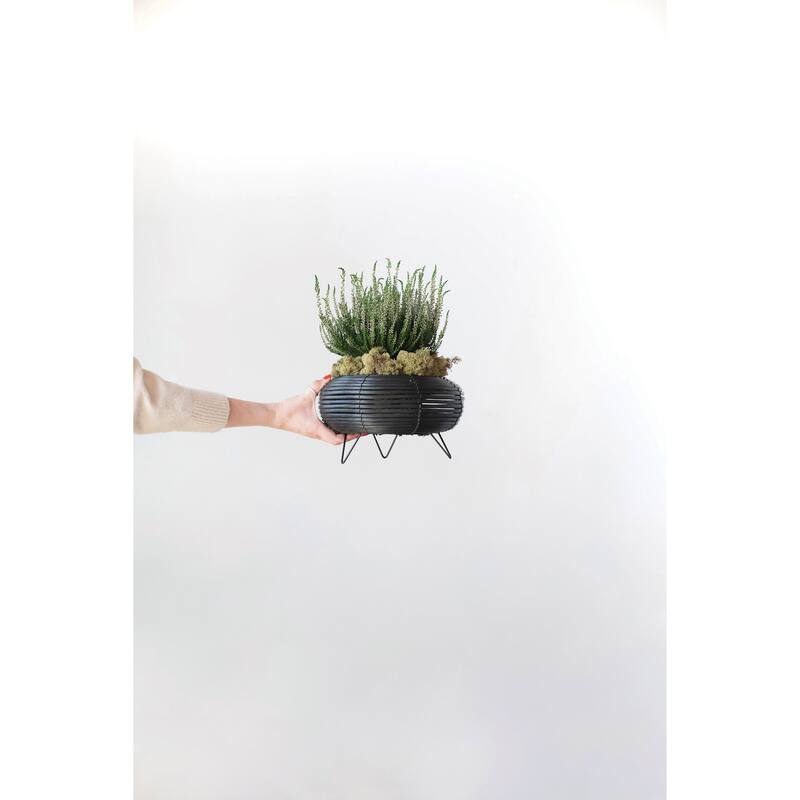 Plastic Planter with Metal Feet