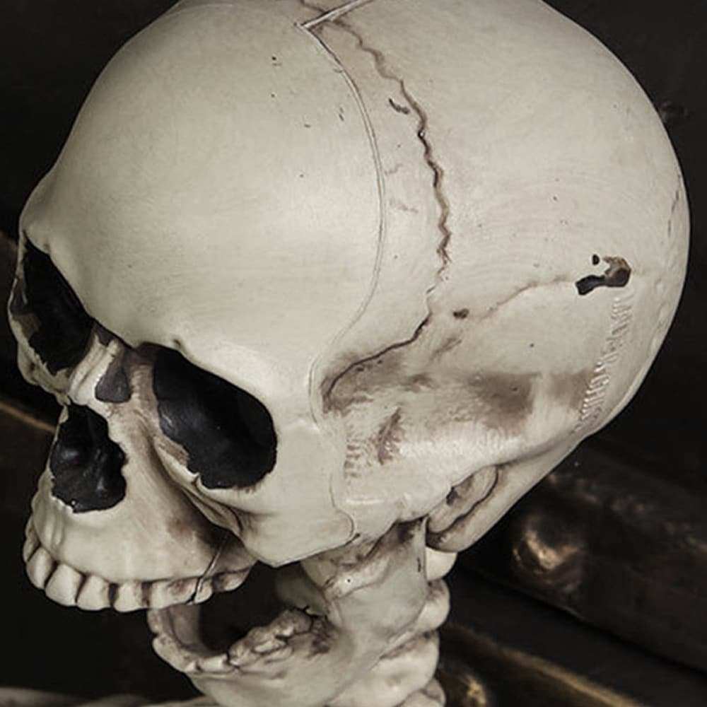 Life Size Human Realistic Skull Head Resin Halloween Haunt Stage Prop Decoration