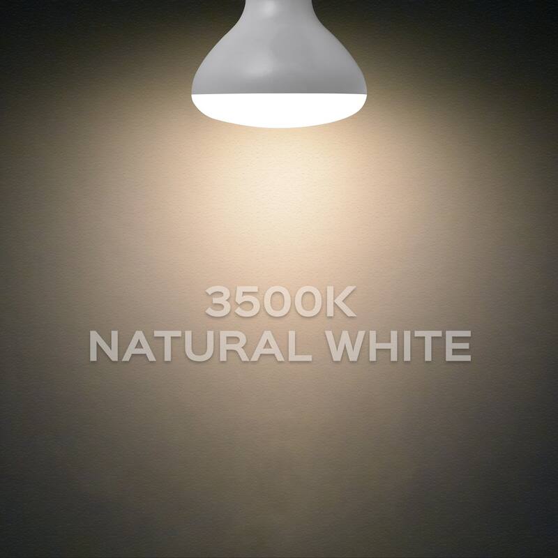 Luxrite BR30 LED Flood Light Bulb Dimmable 650 Lumens 9W=65W E26 Base Energy Star UL Listed Damp Rated 12-Pack
