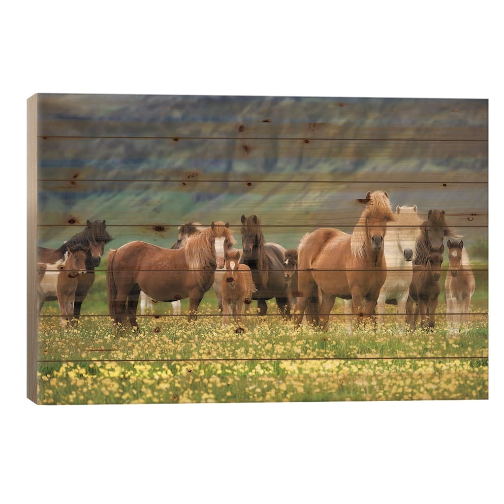 Icelandic Horses VII Print On Wood by PHBurchett - Multi-Color