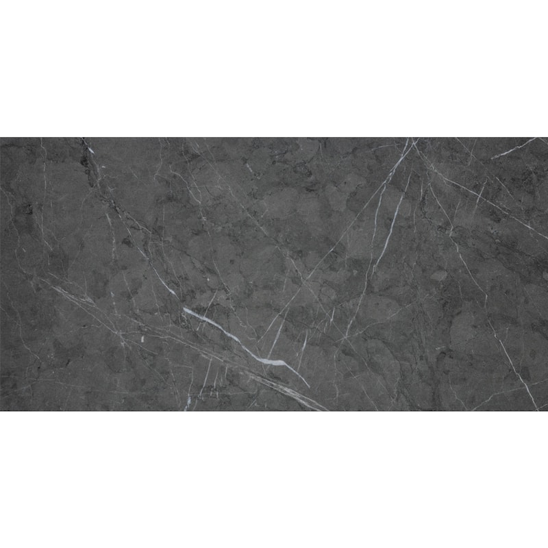 Penthouse 12x24 Polished Porcelain Tile - Floor, Wall - Large Format