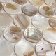 preview thumbnail 6 of 7, Merola Tile Conchella Penny Natural 11.25" x 11.63" Natural Seashell Mosaic Tile