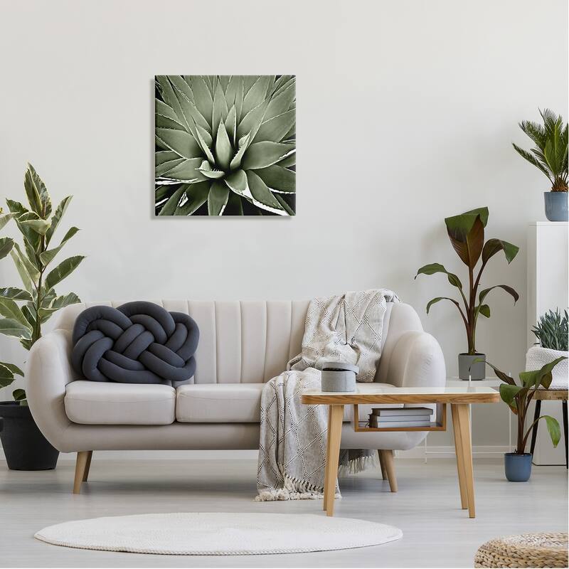 Stupell Succulent Plant Lush Leaves Canvas Wall Art by Lindsay Benson
