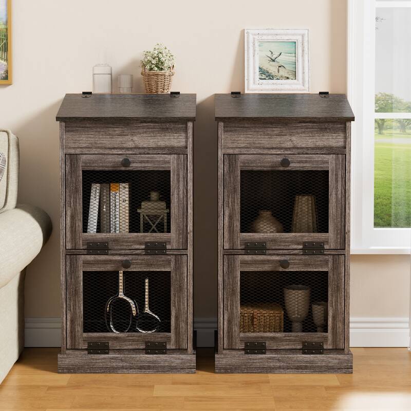 Vintage 2-Door Storage Cabinet Multi-Tier Organizer