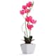 Option Hot Pink
