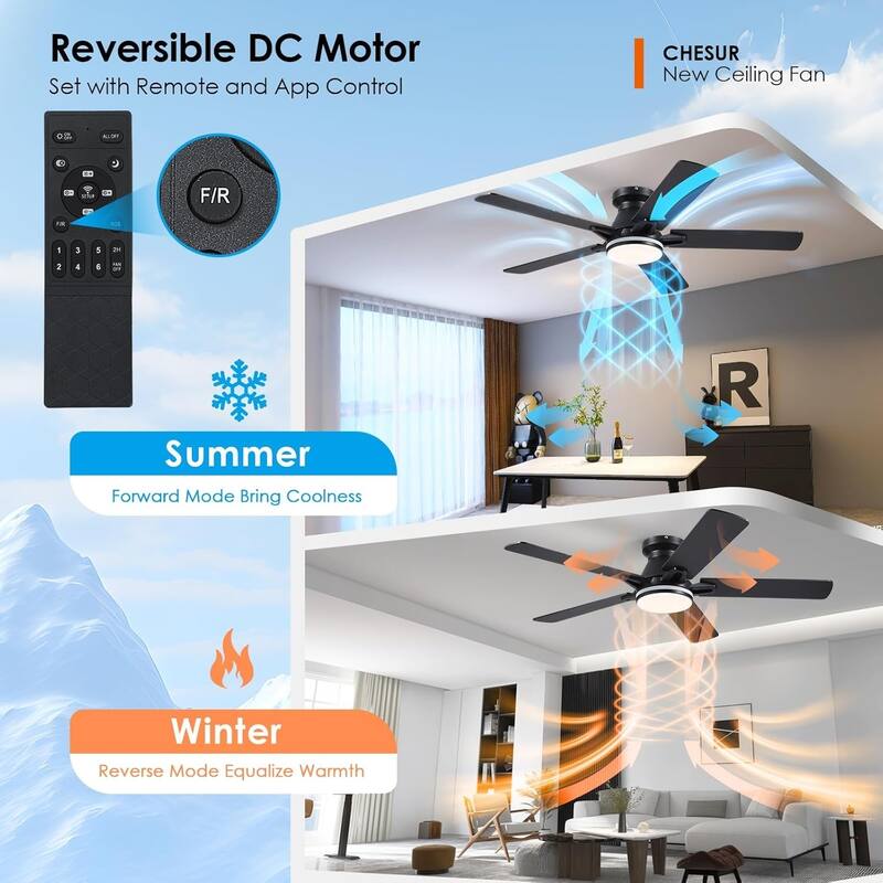 52 Inch Ceiling Fan with Light and Remote,Flush Mount Ceiling Fan,5 Dual Side Blades - 52 Inches