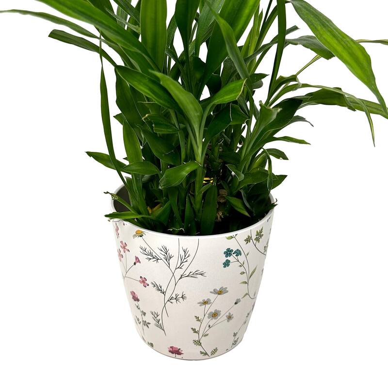7" Round Self-Watering Indoor/Outdoor Bamboo Pots