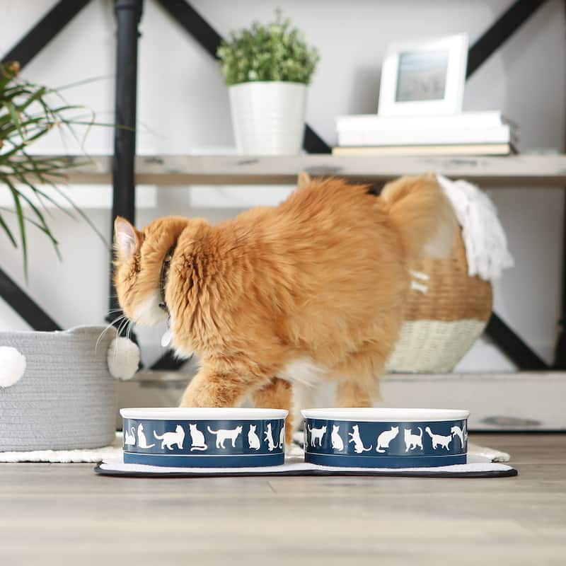 Bone Dry Pet Bowl Cats Meow (Set of 2)
