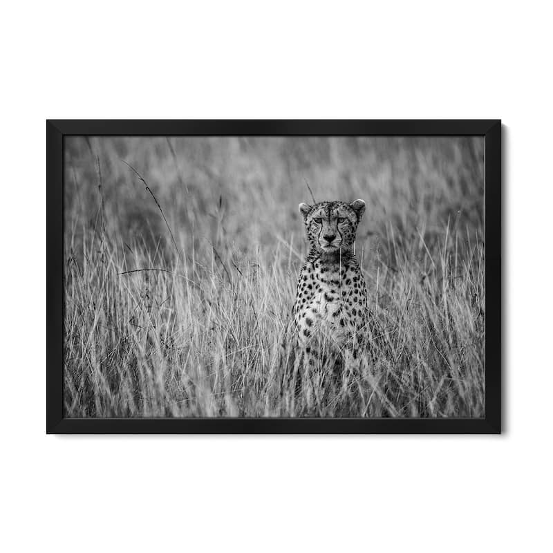 Cheetah Premium Framed Poster by Anura Fernando - Black - 32x24x1