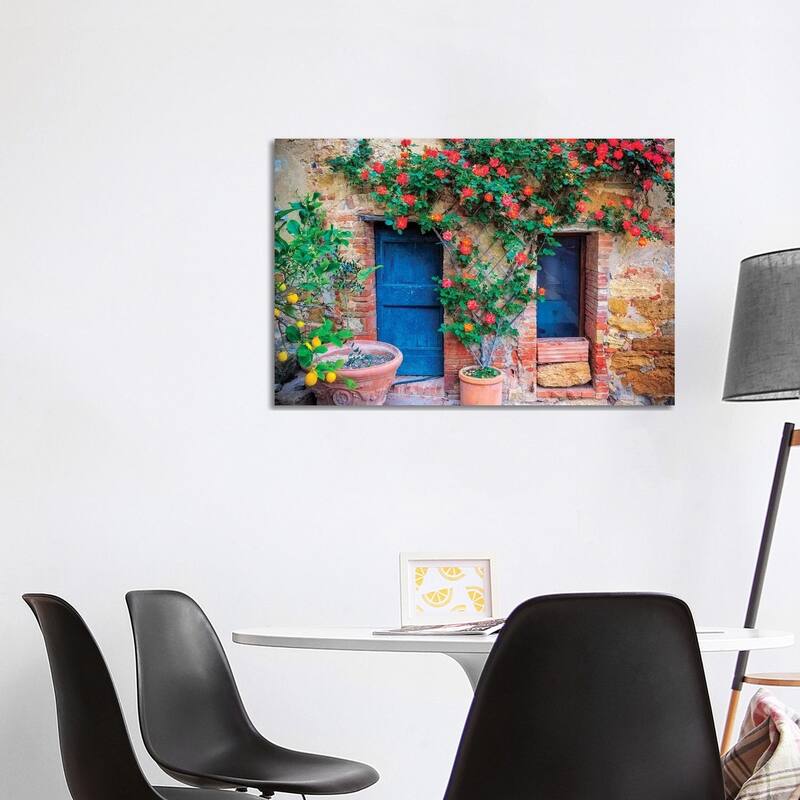 iCanvas "Italy, Val d' Orcia. two doors with vegetation " by Jaynes Gallery Canvas Print - 26x40x1.5
