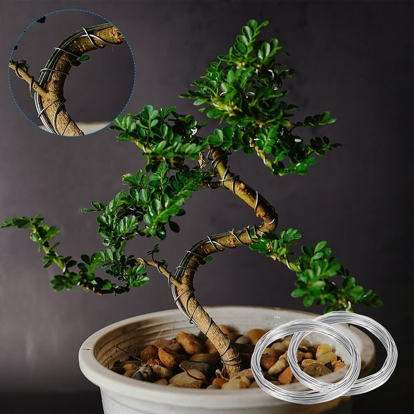 3.5mm Bonsai Training Wire Anodized Aluminum Floral Stems Wire Black - Bed  Bath & Beyond - 37559418