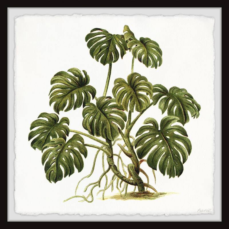 Exotic Palms Framed Print