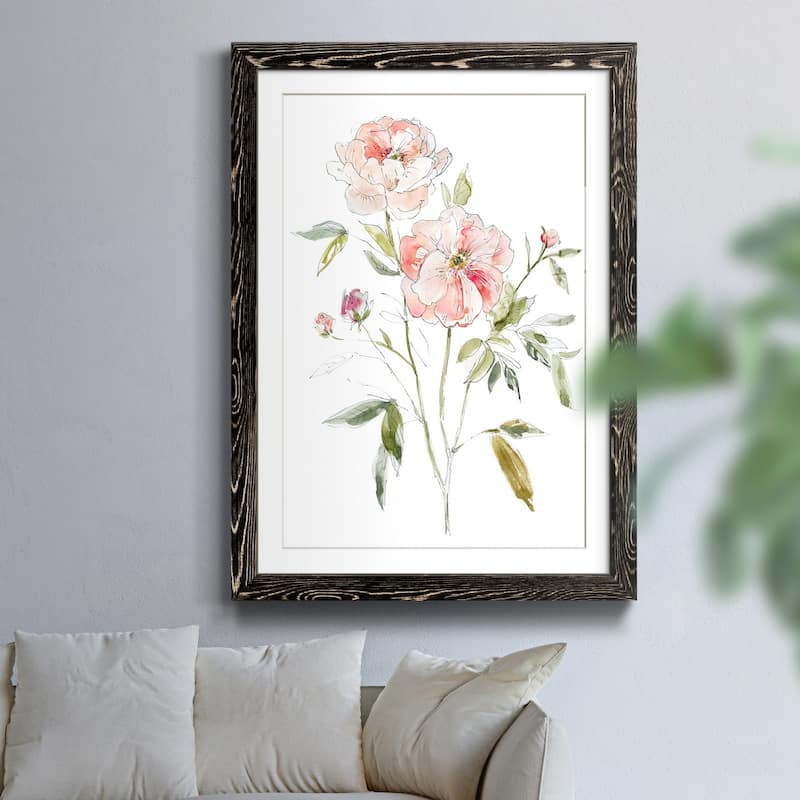 Sketchbook Cottage Rose I-Premium Framed Print - Ready to Hang