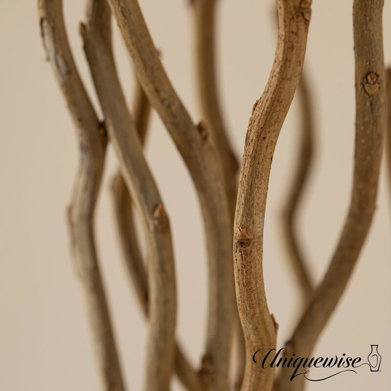 Natural Decorative Dry Branches Authentic Sticks for Home Decoration and Wedding Craft