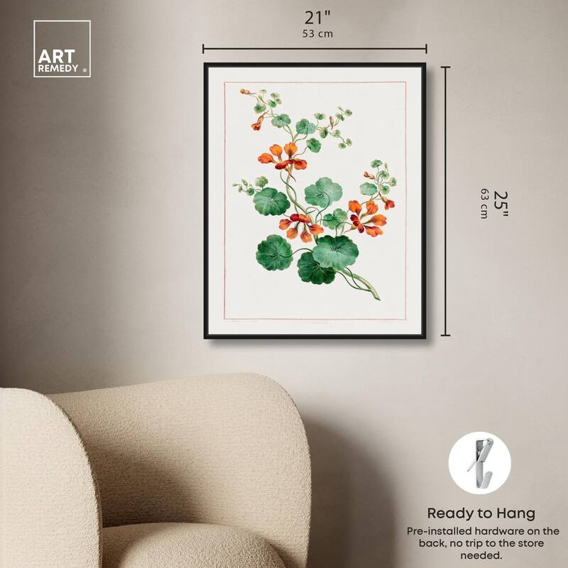 Nasturtium (1788) Canvas by Art Remedy