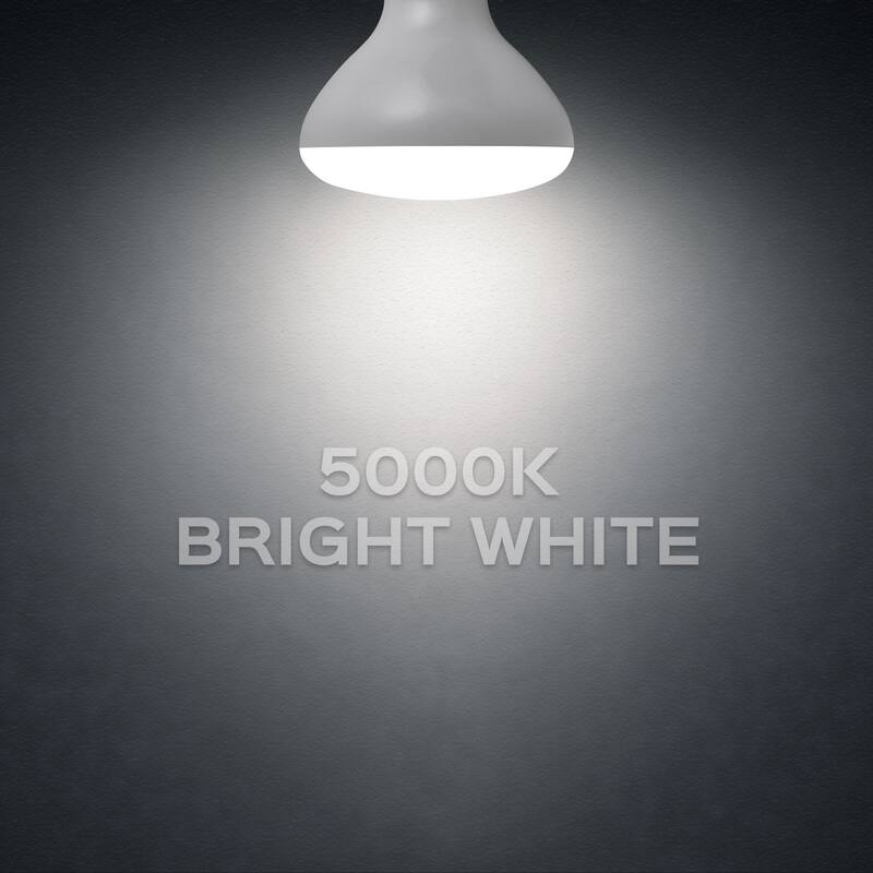 Luxrite BR30 LED Flood Light Bulb Dimmable 650 Lumens 9W=65W E26 Base Energy Star UL Listed Damp Rated 12-Pack