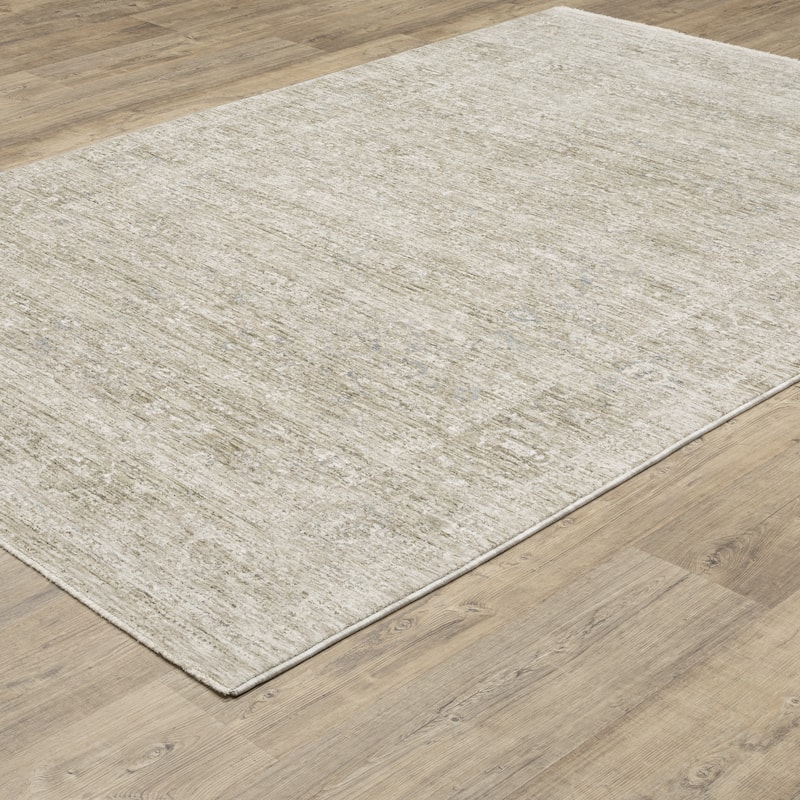 Amira Distressed Traditional Beige/ Grey Area Rug-