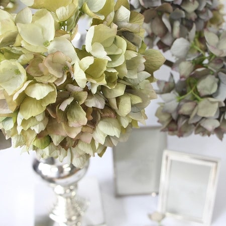 G Home Collection Luxury Silk Single Hydrangea Stem in Green 19" Tall