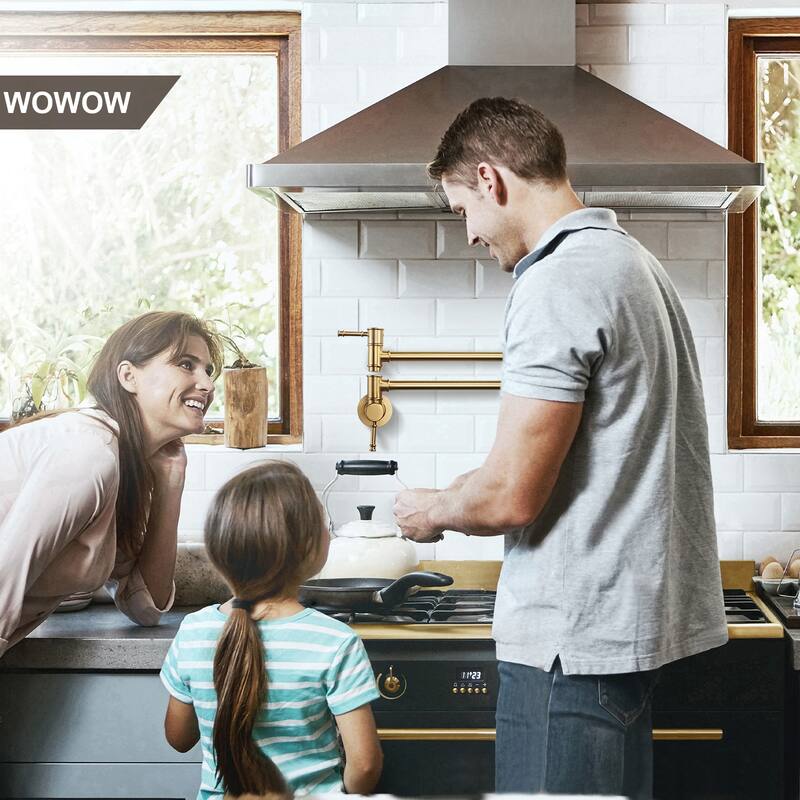 WOWOW 23.5-inch Wall Mount Pot Filler with Double Handle