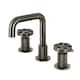 Option Black Stainless