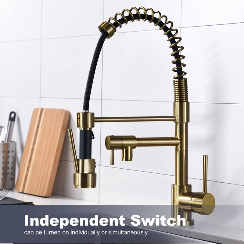 WOWOW Single Handle Pull Down Sprayer Kitchen Faucet with Advanced Spray