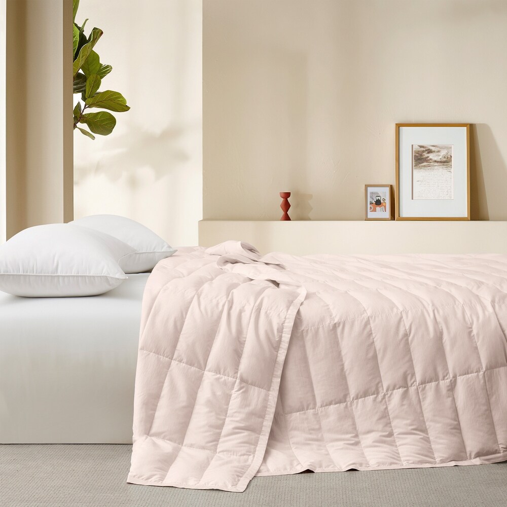 Bed bath and clearance beyond summer blankets