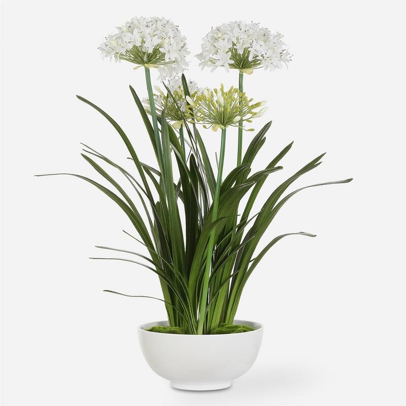 Artificial Agapanthus Floral Centerpiece in a Glossy Planter - 38.5" - White and Green