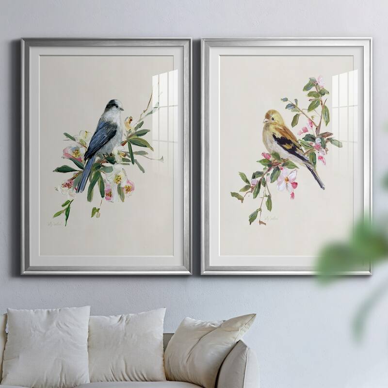 Spring Song Gray Jay Premium Framed Print - Ready to Hang