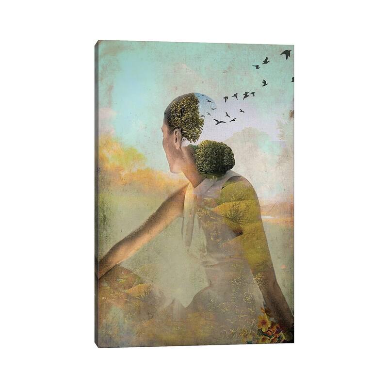 iCanvas "Summer Dreaming" by Catrin Welz-Stein Canvas Print