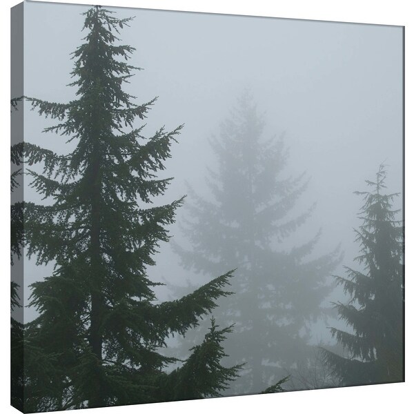 PTM Images 9-101241 PTM Canvas Collection 12" x 12" - "Foggy Morning 1" Giclee Forests Art Print on Canvas
